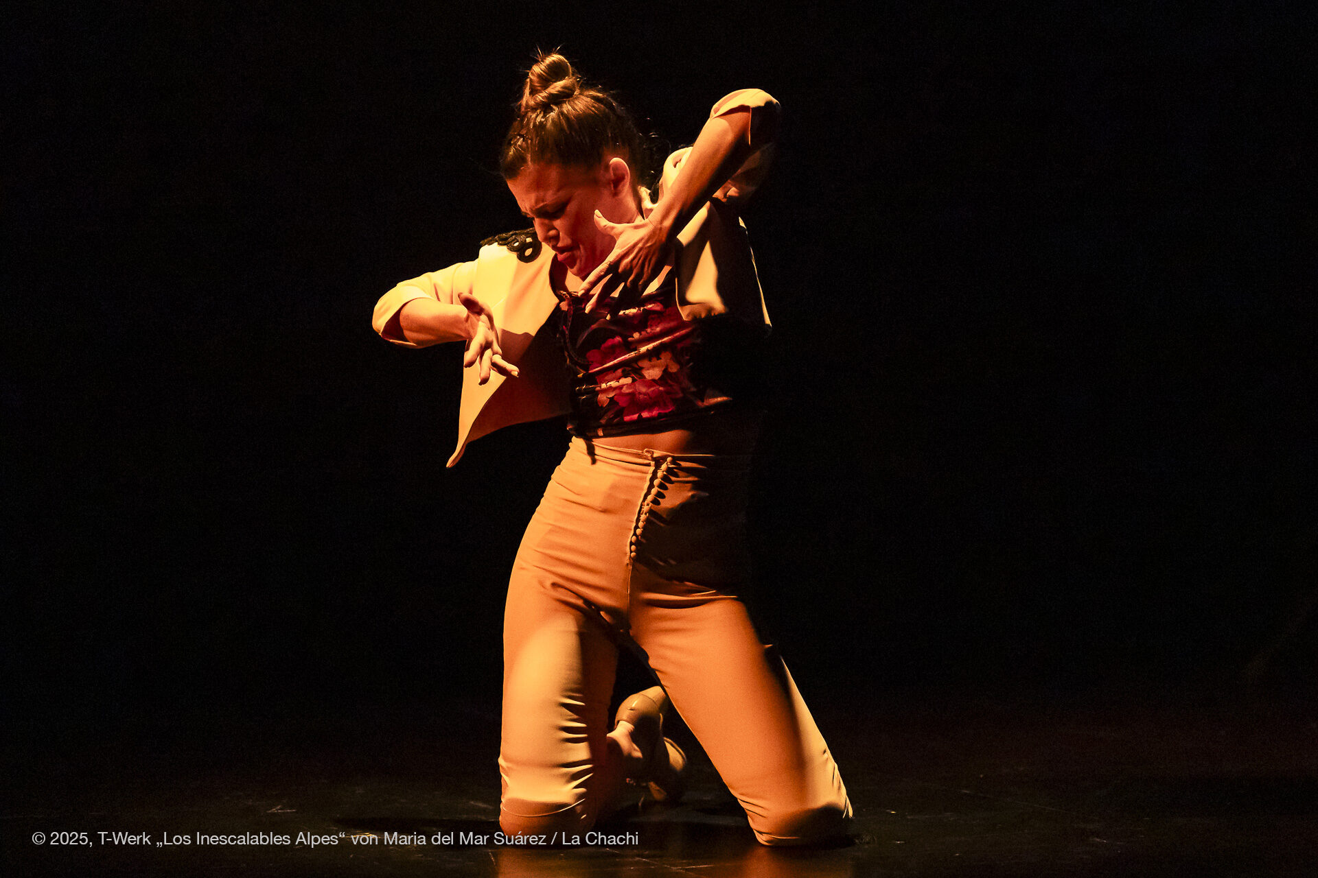 Maria del Mar Suárez - Los Inescalables Alpes