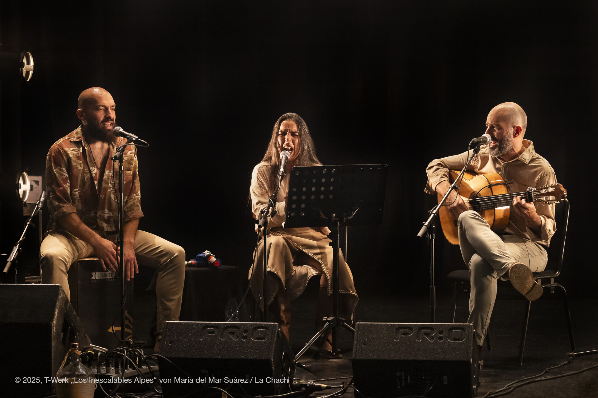 Maria del Mar Suárez - Los Inescalables Alpes