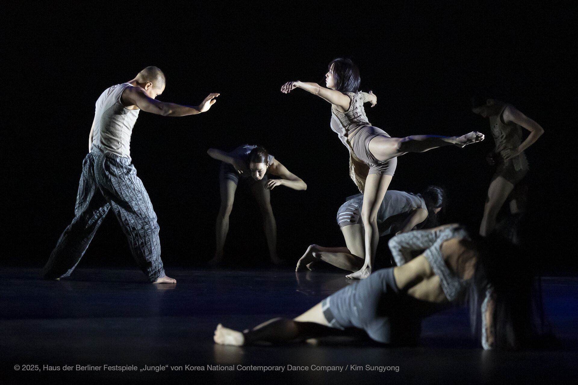Korea National Contemporary Dance Company - Jungle