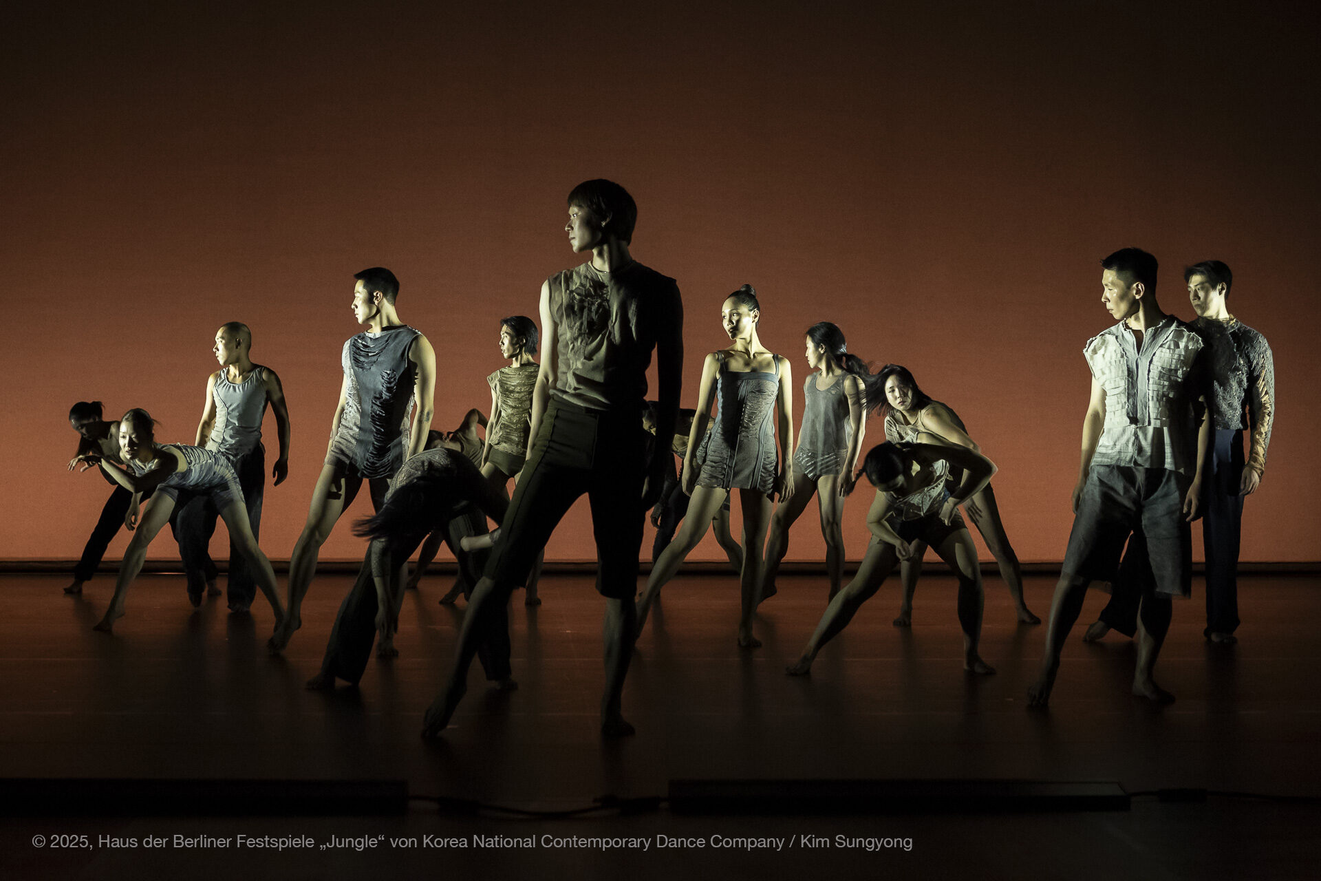 Korea National Contemporary Dance Company - Jungle