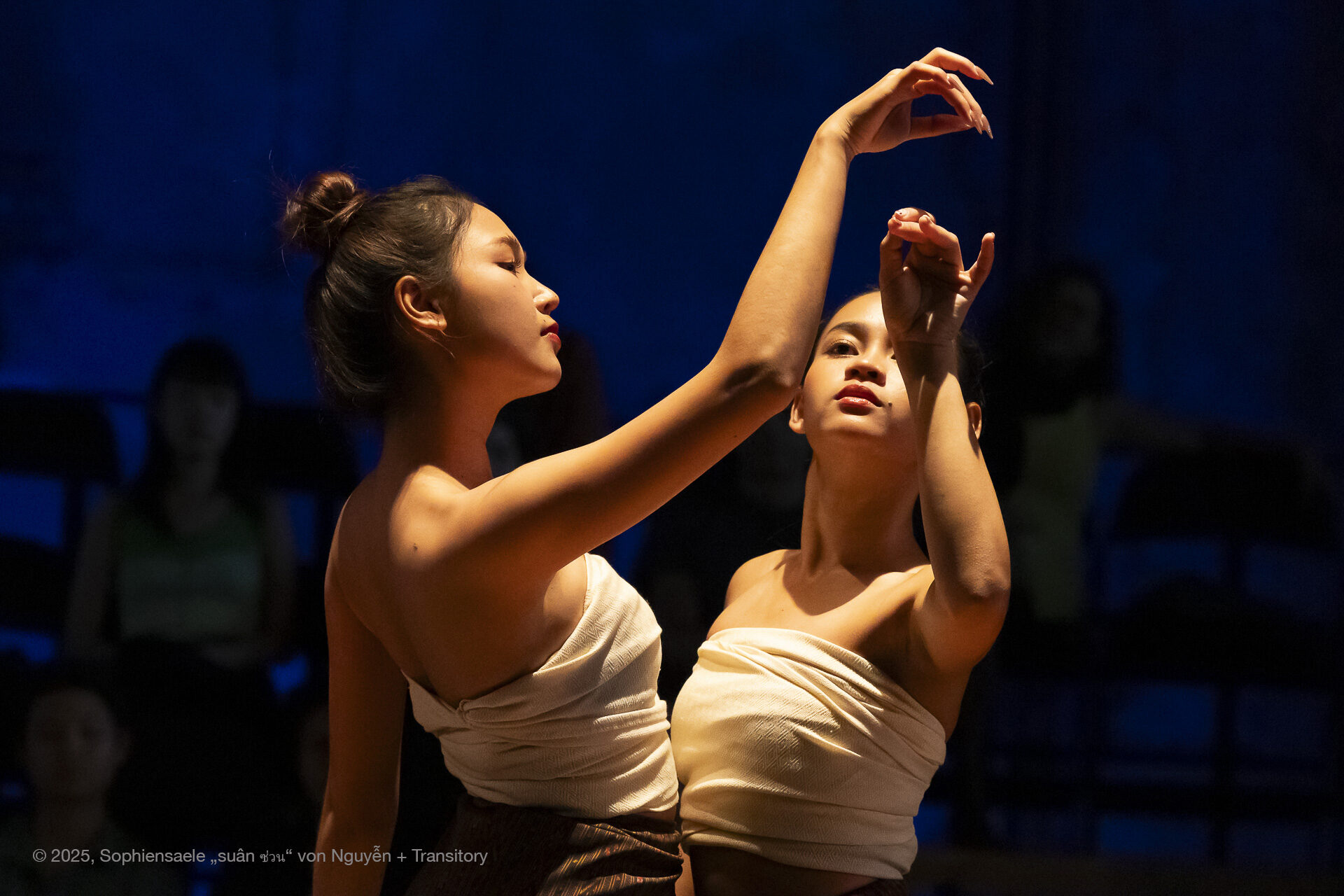 Nguyễn + Transitory - suân ซ่วน