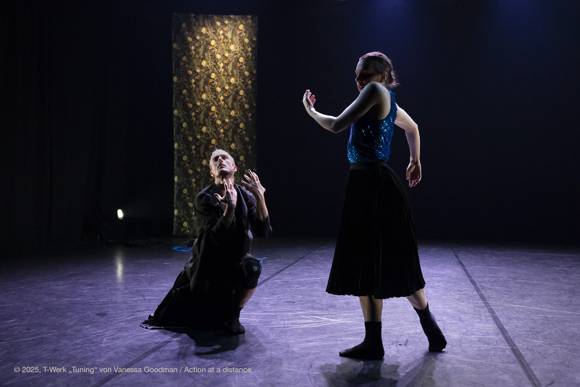 Vanessa Goodman - Tuning