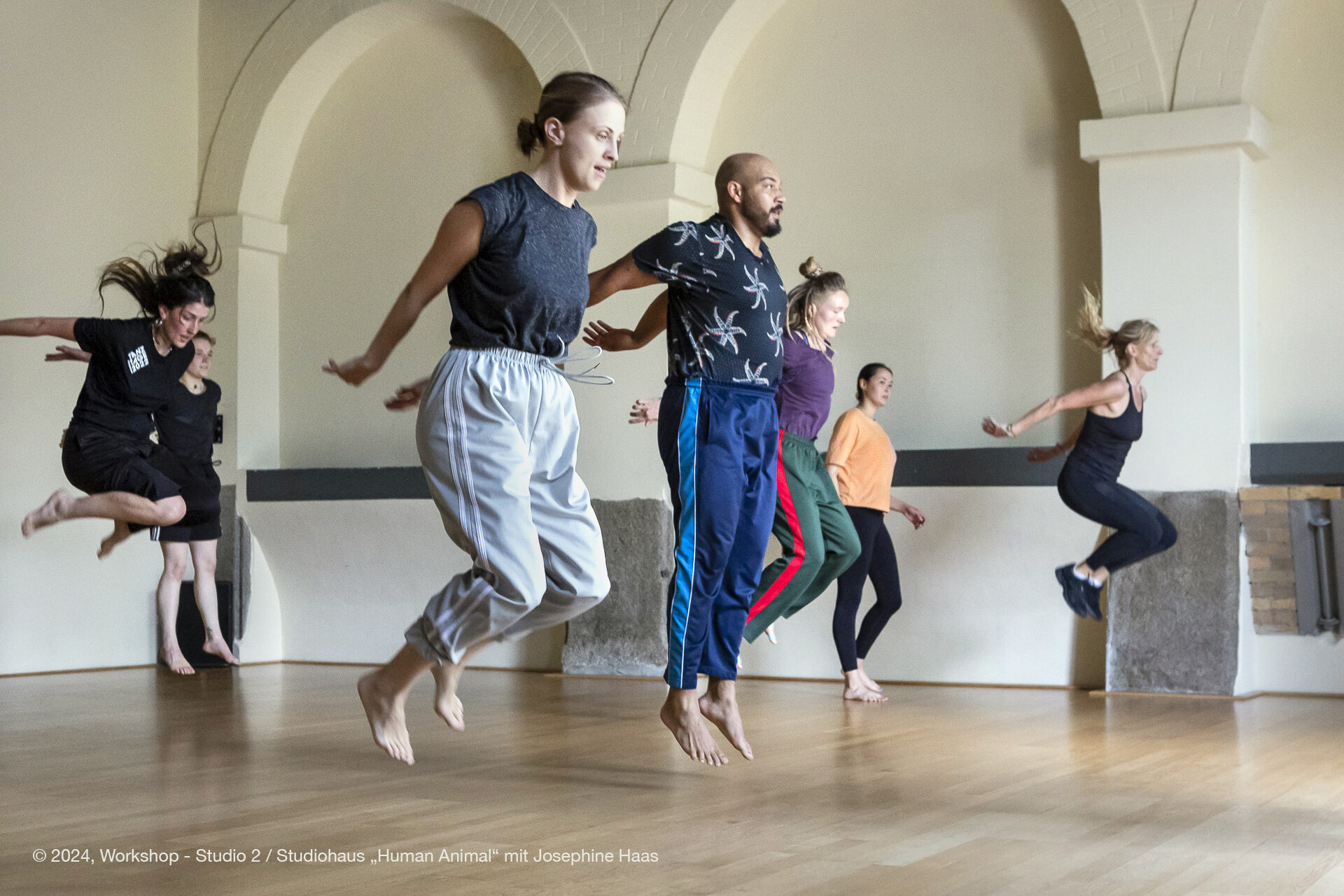 Workshop - Human Animal